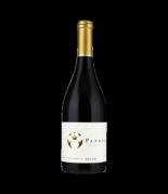 Ventisquero Syrah - Pangea 0
