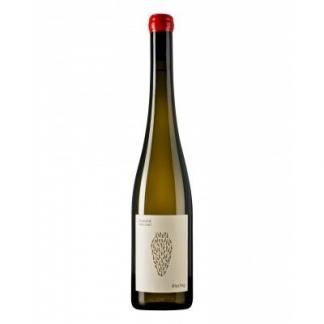 Domane Wachau - Riesling Amphora 2021 (Each)