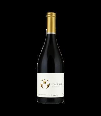 Ventisquero Syrah - Pangea NV
