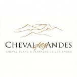 Cheval Des Andes, Argentina, 2019