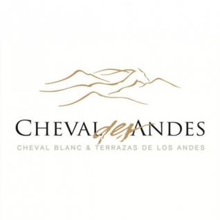 Cheval Des Andes, Argentina, 2019