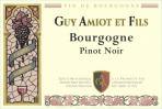 Guy Amiot - Bourgogne Rouge Cuvee Simon 2021